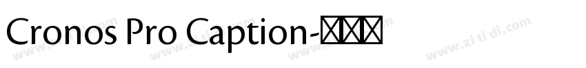 Cronos Pro Caption字体转换